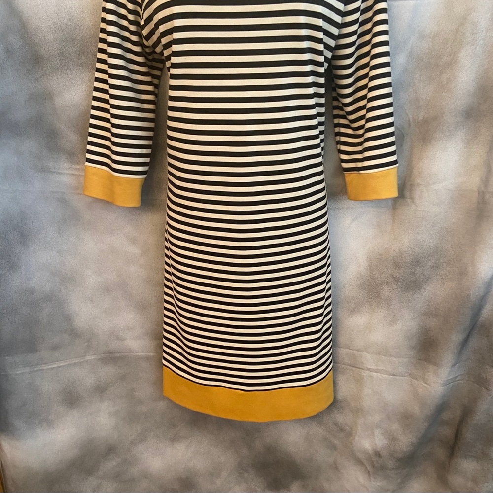 Color-blocked and cute! - Picture 9 of 10